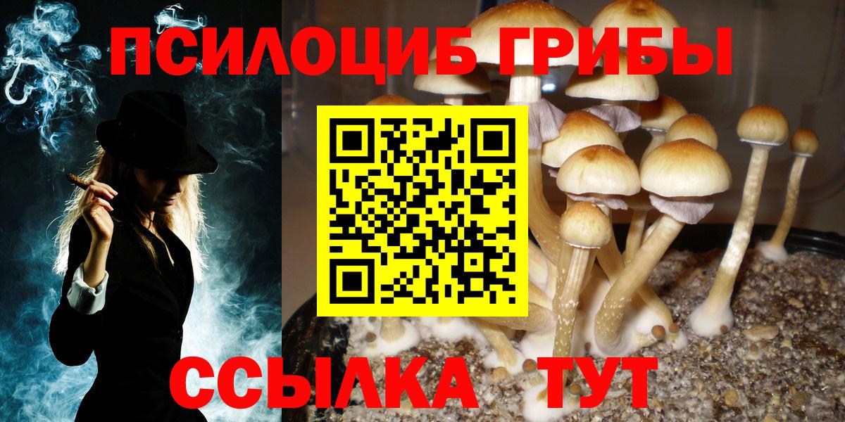 Галлюциногенные грибы Magic Shrooms  Псилоцибиновые грибы Cubensis  Вход с VPN  Лабытнанги 
