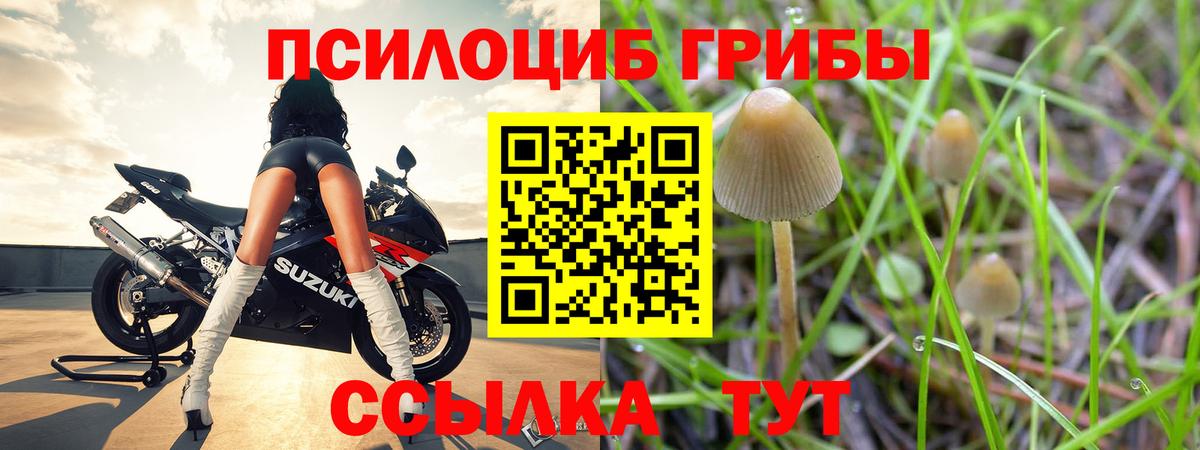 Псилоцибиновые грибы Cubensis Лабытнанги